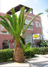 Villa Naias 